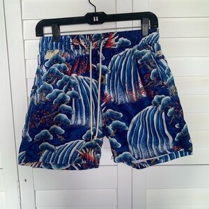 Men’s swim trunks